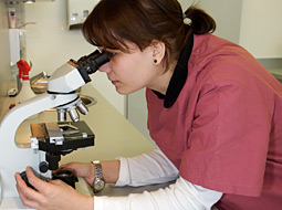 Laboratory staff using microscope